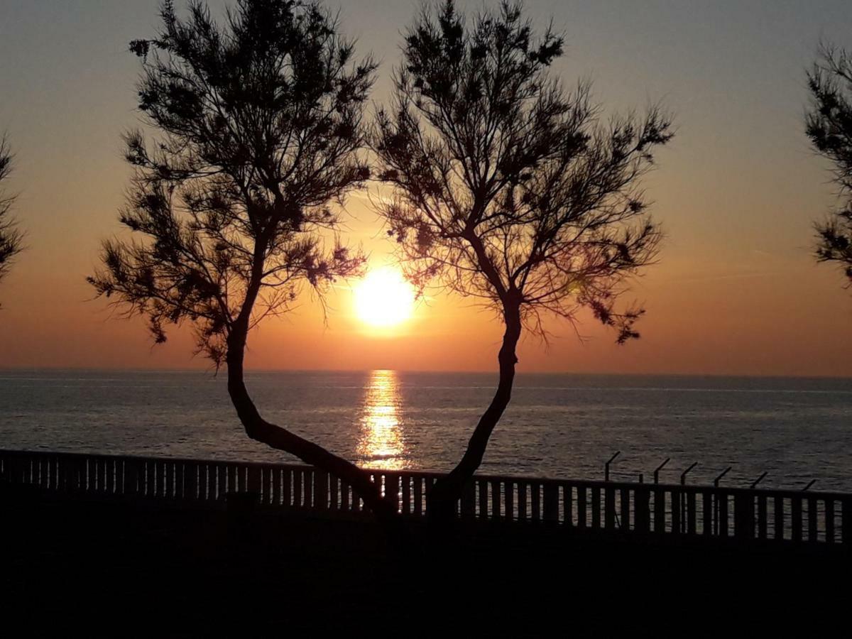 Agriturismo Le Cerbonche Rosignano Marittimo Buitenkant foto